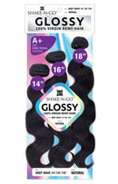 Shake-N-Go Glossy 100% Virgin Remy Hair