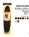 EZ Braid Kinky Afro Twist Hair 20"