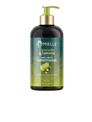 Mielle Avocado & Tamnu Anti-Frizz Conditioner 12 oz