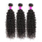 Brazilian Virgin Hair Bundles 12A